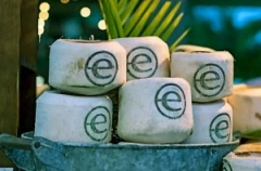 Endeavor Greece: Ο οργανισμός που υποστηρίζει τις ελληνικές επιχειρήσεις «αποκαλύπτεται»