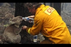 Αυστραλία: Έκταση όσο η Ιρλανδία έκαψαν έως τώρα οι φωτιές