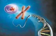 Αναπαραγωγικά παράδοξα