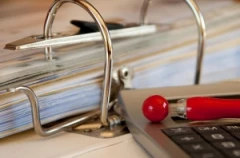 Πολλά «λαβράκια» στα δίχτυα του ΣΔΟΕ (infographic)