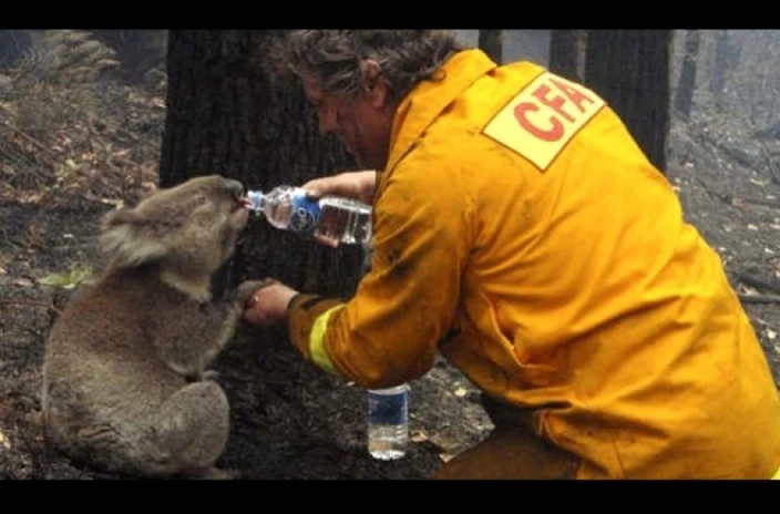 Αυστραλία: Έκταση όσο η Ιρλανδία έκαψαν έως τώρα οι φωτιές