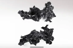 εγκέφαλο ενός άνδρα σε γυαλί