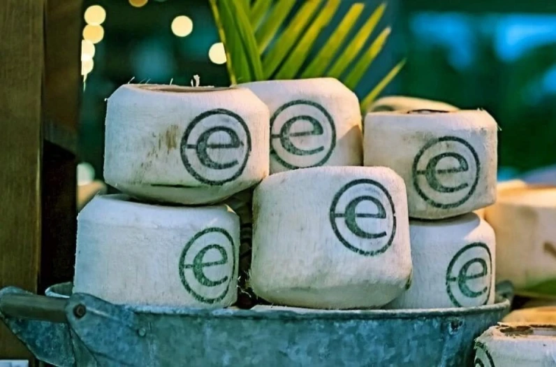 Endeavor Greece: Ο οργανισμός που υποστηρίζει τις ελληνικές επιχειρήσεις «αποκαλύπτεται»