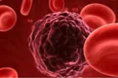 Εντοπίστηκε κύτταρο που «ενδέχεται να θεραπεύει όλους τους καρκίνoυς»