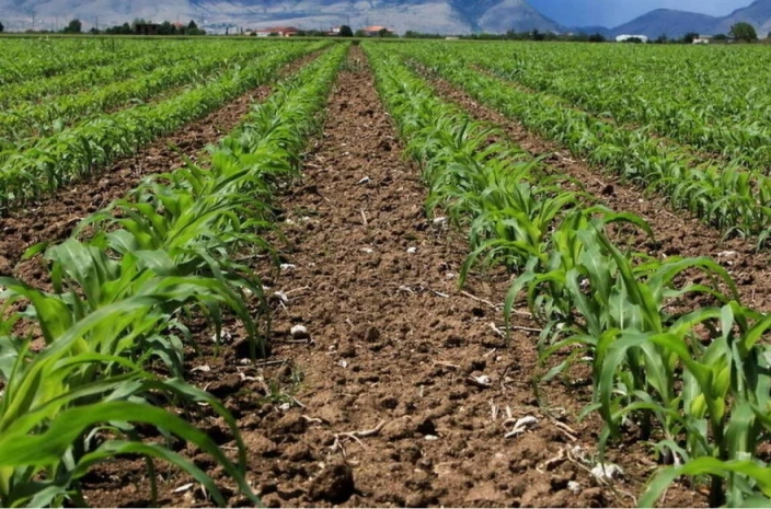 Επιδοτήσεις αγροτών 2019: Η κυβέρνηση δίνει 235 εκατ. ευρώ - Ποιοι είναι οι δικαιούχοι